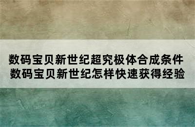 数码宝贝新世纪超究极体合成条件 数码宝贝新世纪怎样快速获得经验